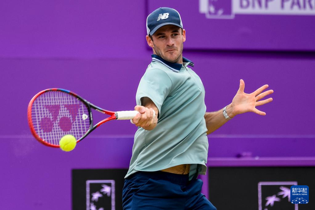 东契奇与约 东契奇与约