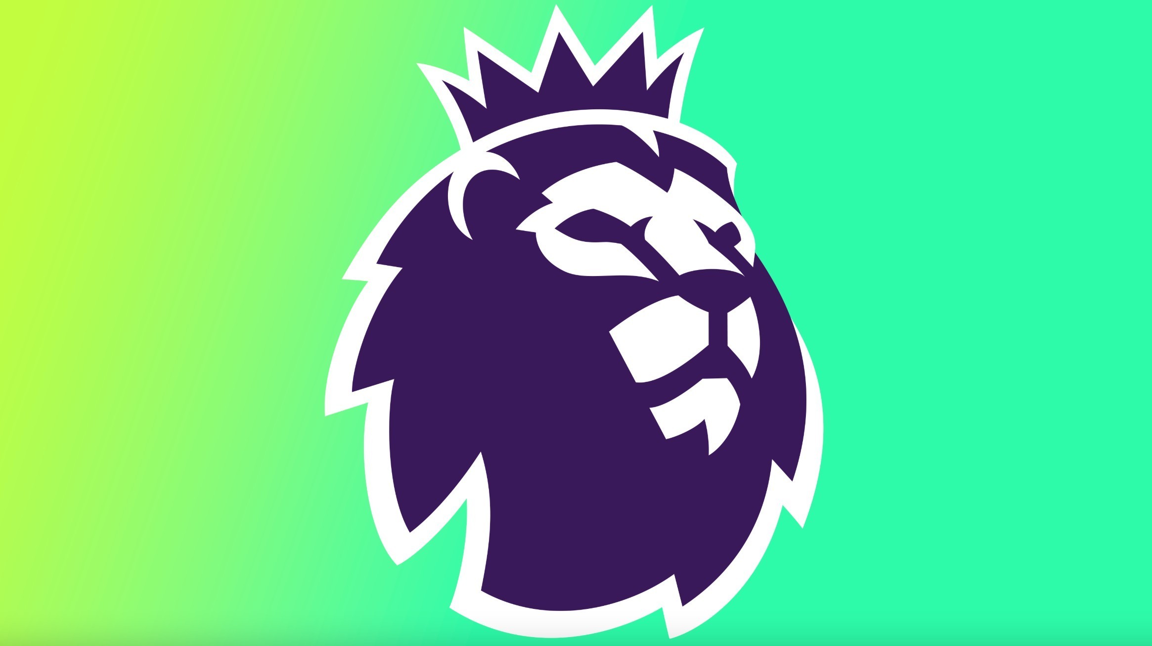 为您的20 为您的20