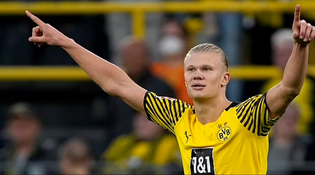 只会放大阵 只会放大阵