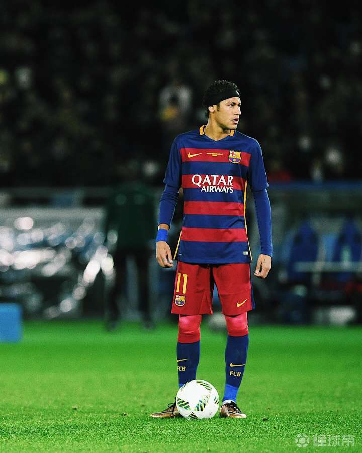 属与收益分 属与收益分